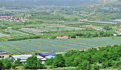     農田與山川構成一幅鄉村振興畫卷。