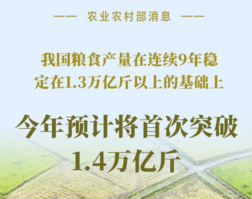 預計將首次突破1.4萬億斤！數據看“大國糧倉”的底氣